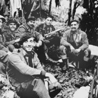 EOKA: Η Μάχη του Πεύκου